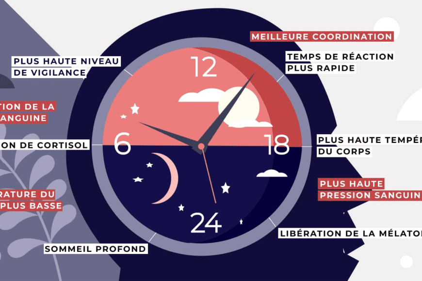 Pourquoi les Pauses Régulières et le Sommeil sont Essentiels ?