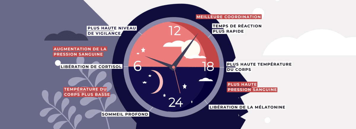 Pourquoi les Pauses Régulières et le Sommeil sont Essentiels ?